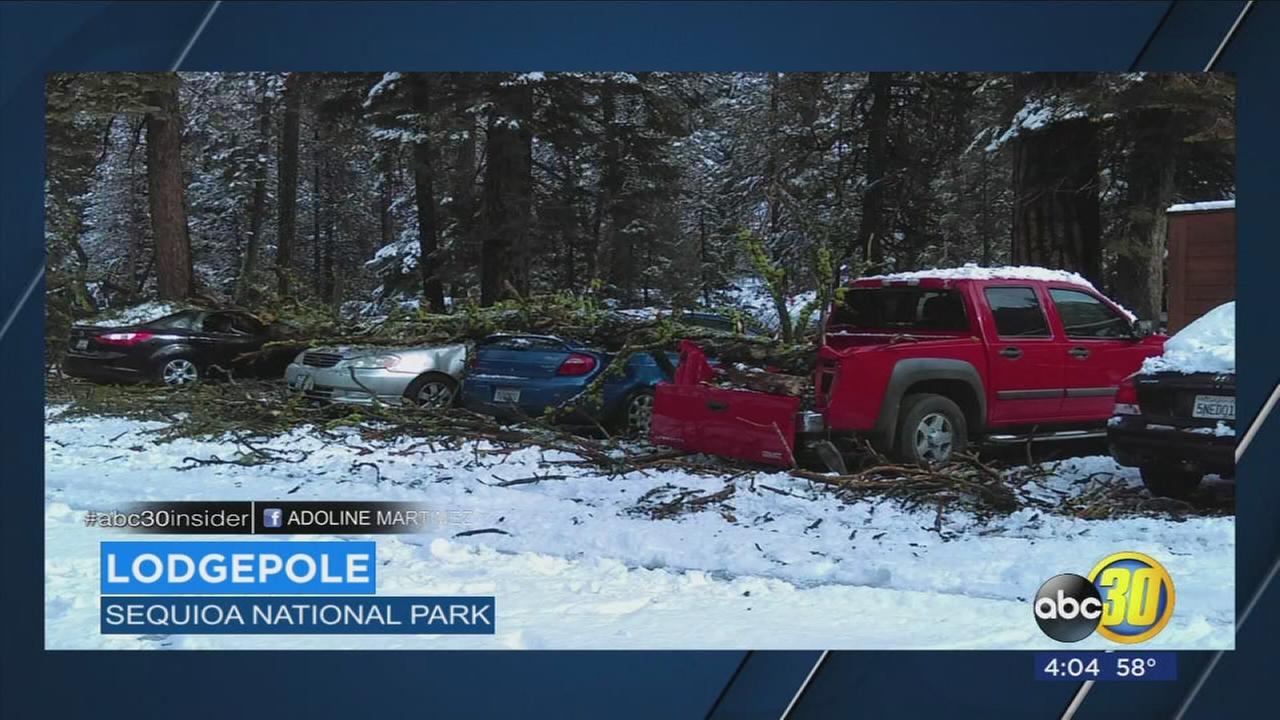 Sequoia National Park hikers capture terrifying encounter with mountain