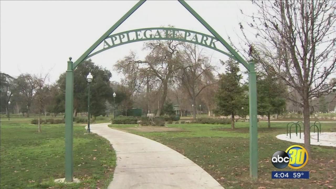 Merceds plan to fix up popular city park