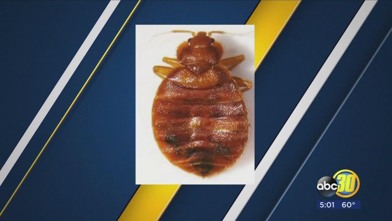 Bed bugs found at Kaweah Delta Medical Center in Visalia