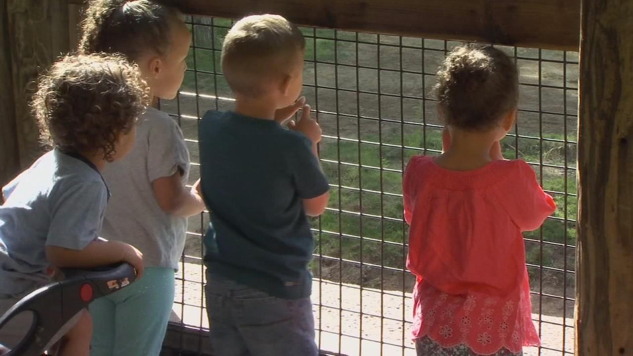 Fresno Area Weather News