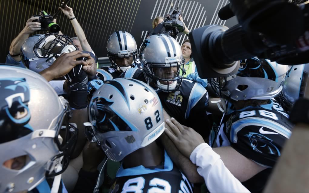 panthers super bowl champions gear