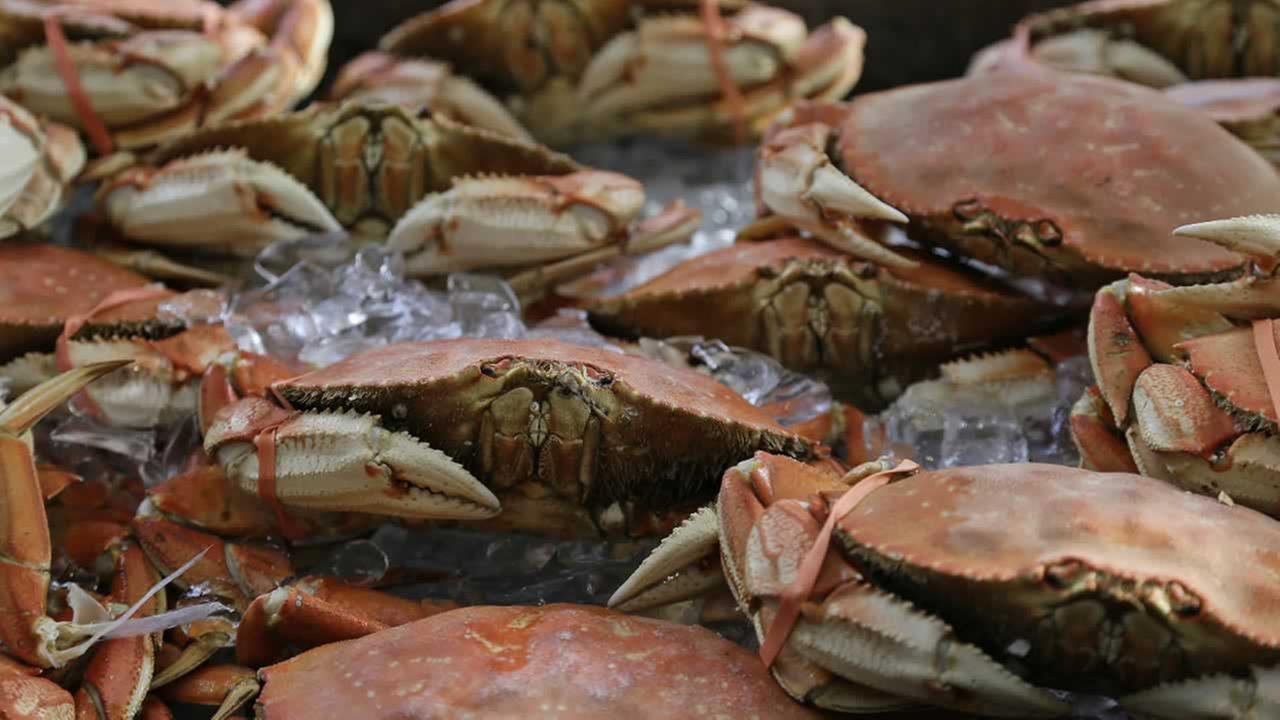 Crab Season Washington 2024 Dates Alta