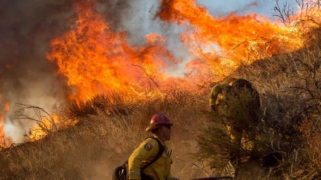 Firefighters battle a wildfire on Cajon Boulevard in Keenbrook, Calif., on Wednesday, Aug. 17, 2016.