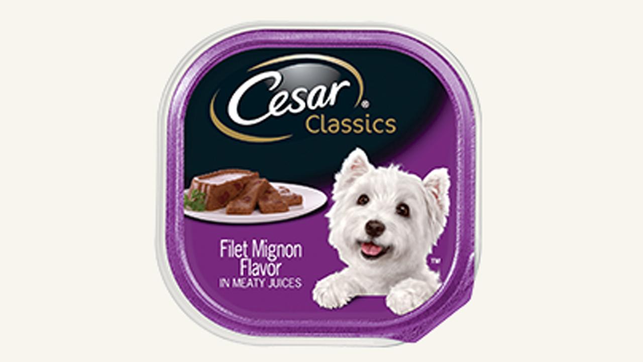 Mars Petcare issues recall after plastic found in dog food