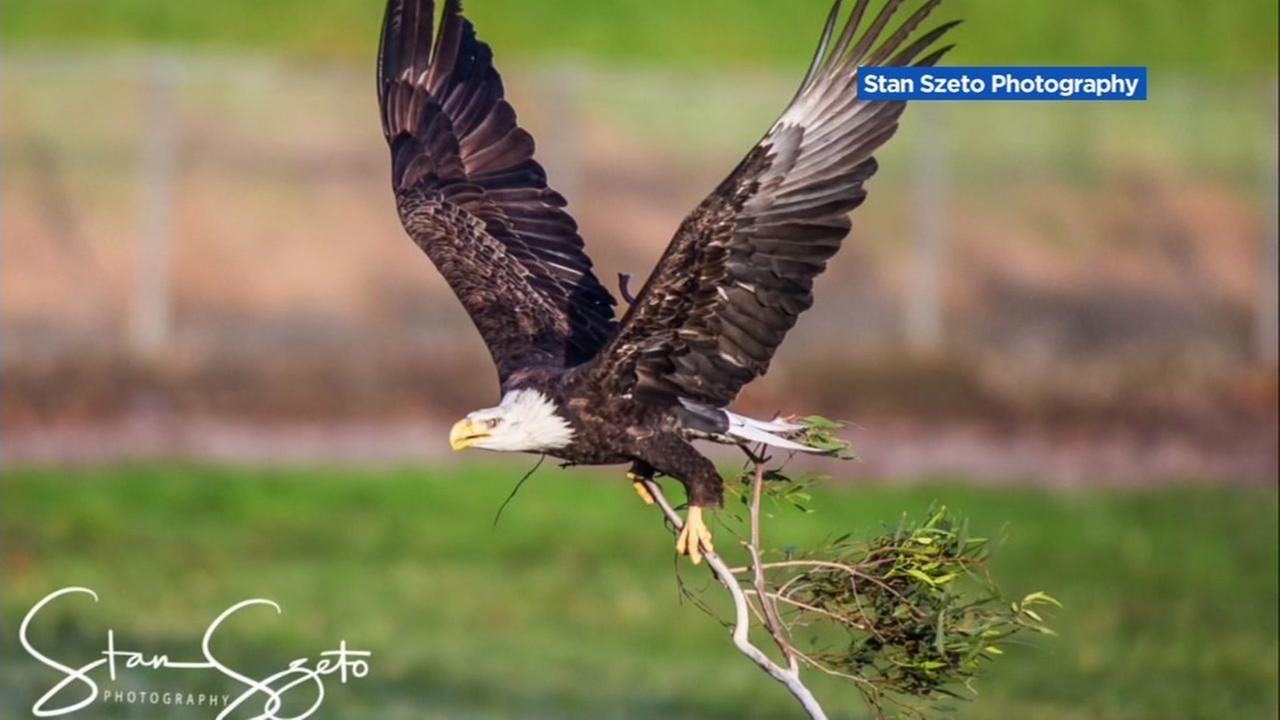 Bald Eagle High School Craft Show