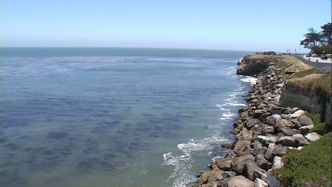 Shark Attack In Santa Cruz Closes Beaches