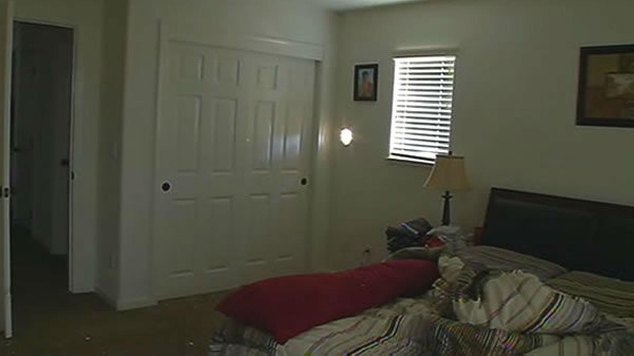 PHOTOS MythBusters stunt gone sends cannonball flying through Dublin