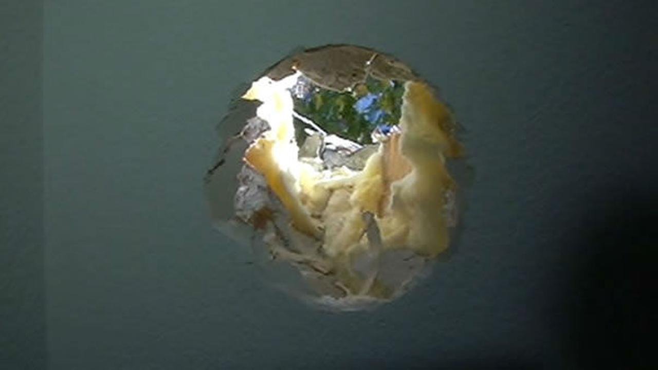 PHOTOS MythBusters stunt gone sends cannonball flying through Dublin