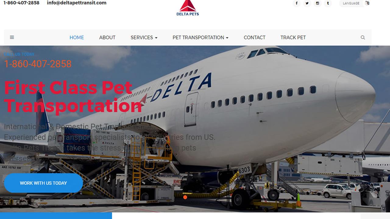 Delta Air Lines, Inc. (NYSE:DAL) Position Lowered by Icon Advisers Inc