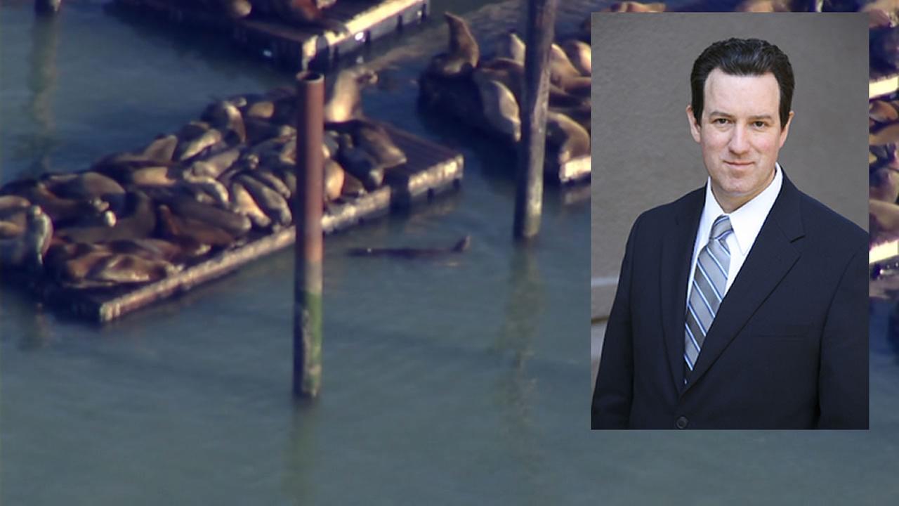 Christian Einfeldt, who was bitten by a sea lion in the San Francisco Bay, appears in this undated image.