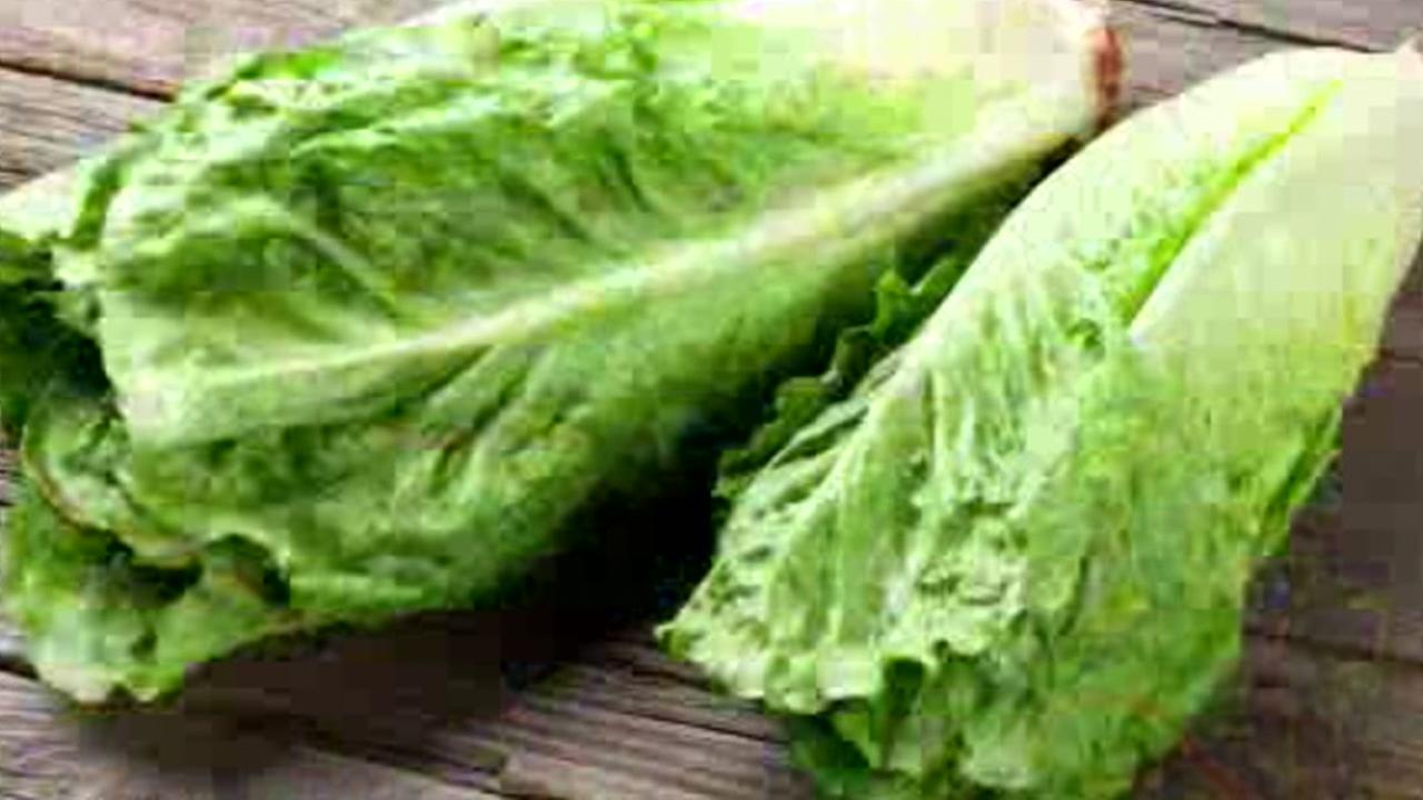 Cautionary recall of lettuce products issued by Sam's Club