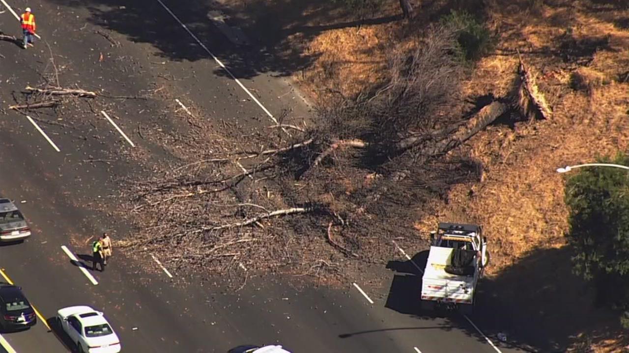 1 killed in crash after tree falls across 3 NB lanes of I680 in