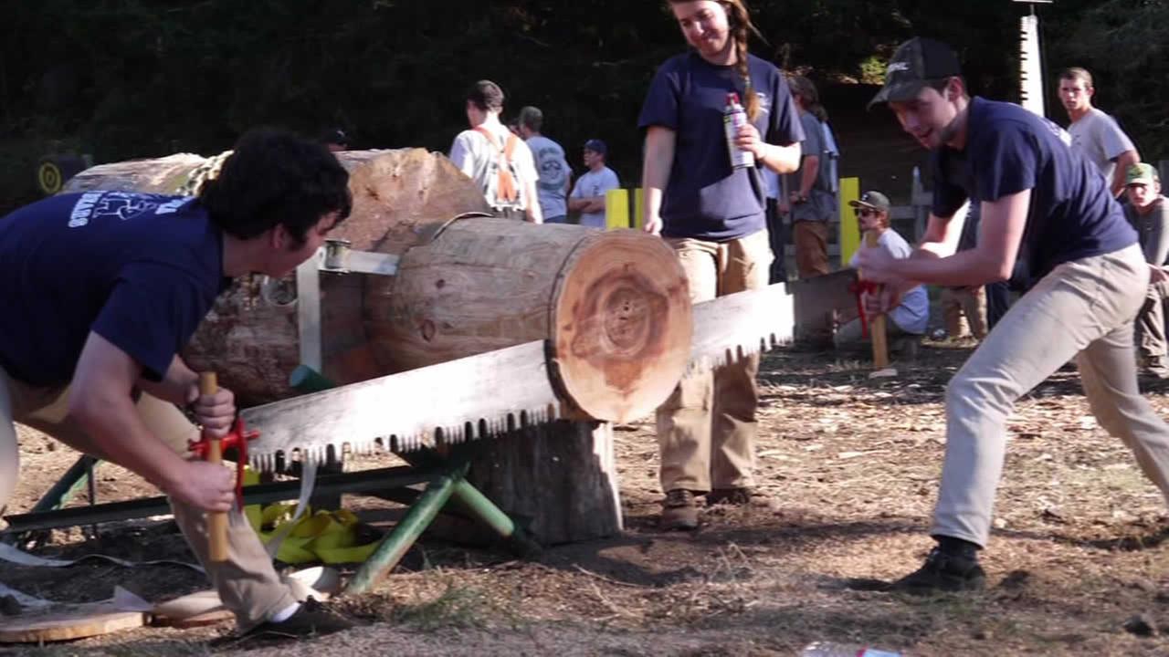 UC Berkeley's team of lumberjacks shows how face of modern lumberjack