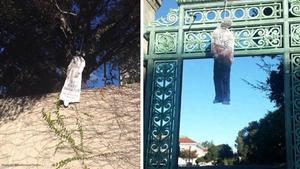 The images of black lynching victims were found Saturday morning on the UC Berkeley campus.
