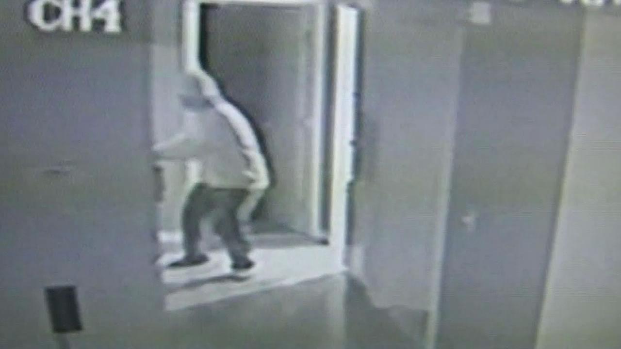 16 Surveillance Cameras Capture Wild Burglary While San Jose Was Home 9301