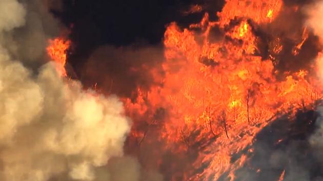 Sky7 HD shows the Rocky Fire that's burning in Lake County, Calif. near Clear Lake on Sunday, August 2, 2015. <span class=meta>KGO-TV</span>