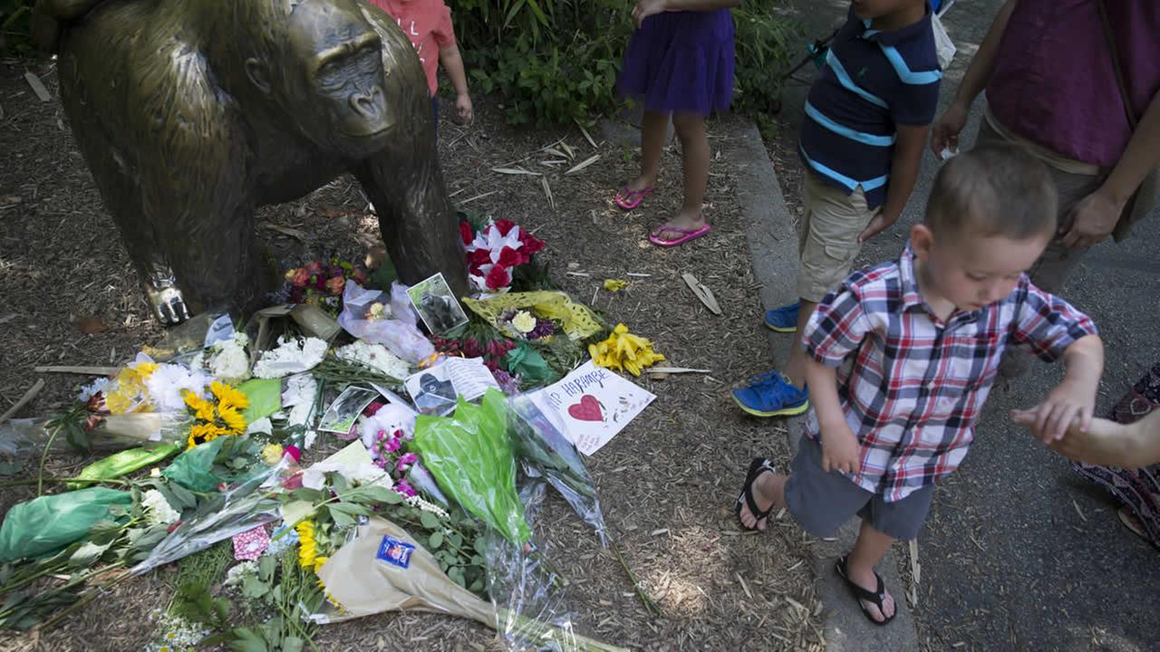 No charges against mom of boy in gorilla exhibit