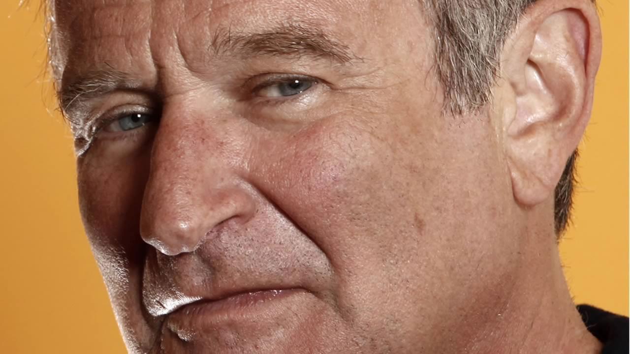 Резултат с изображение за robin williams and susan schneider