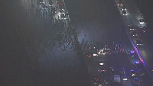 Protesters on I-80 in Berkeley near University Avenue 