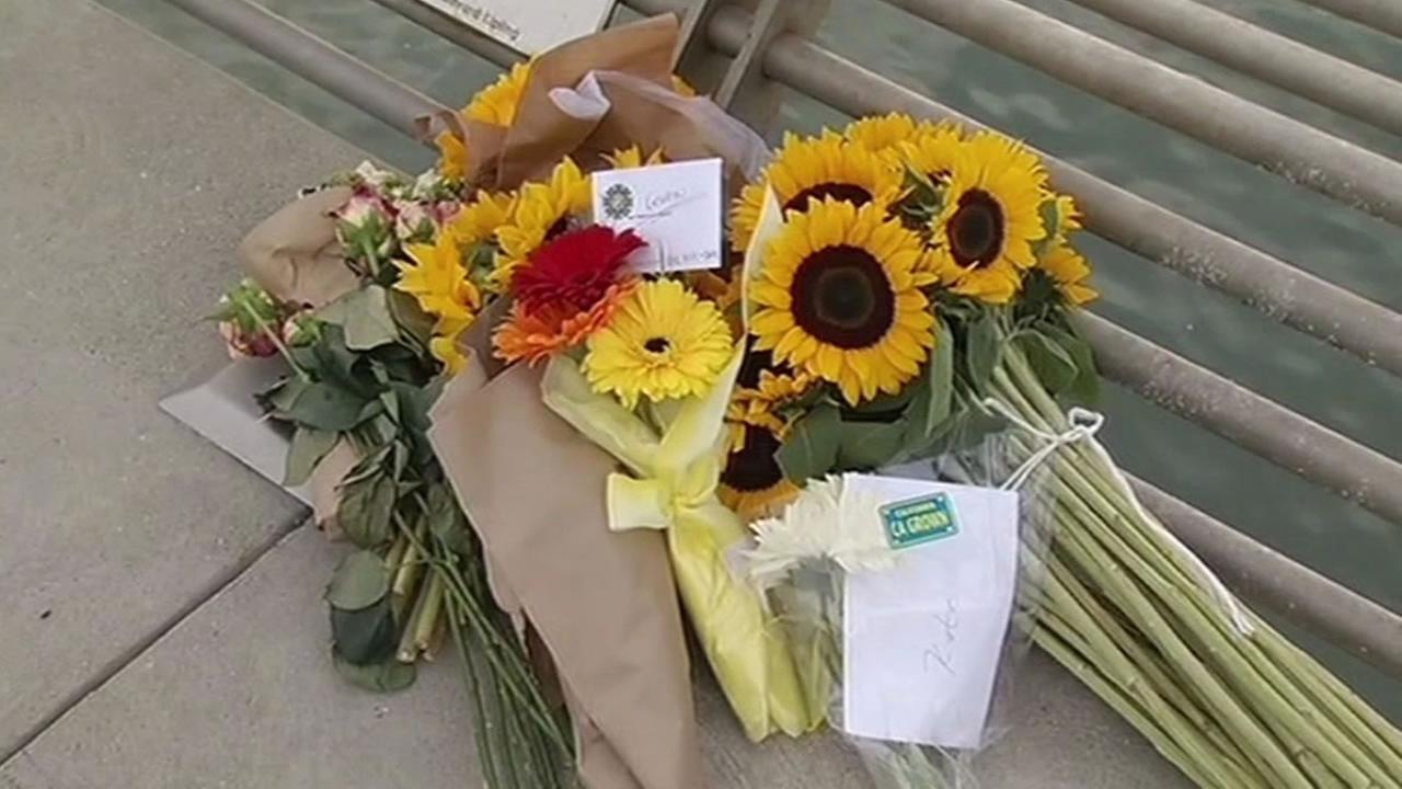 ONLY ON Man accused in death of Kate Steinle admits to Pier 14 shooting