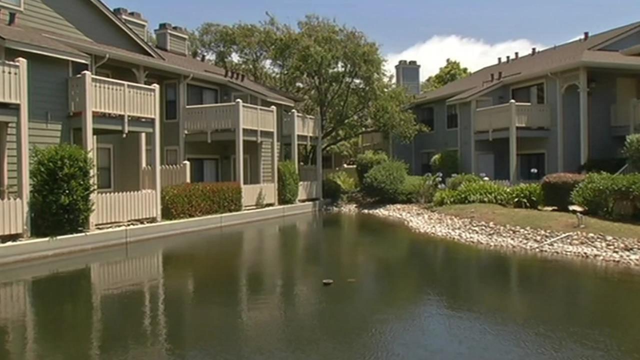 Bay Area real estate market heating up, encourages sellers | abc7news.com - abc7news.com