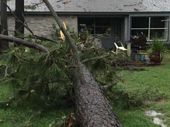 <div class='meta'><div class='origin-logo' data-origin='KTRK'></div><span class='caption-text' data-credit=''>Photos of storm damage across southeast Texas</span></div>
