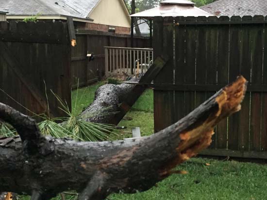 <div class='meta'><div class='origin-logo' data-origin='KTRK'></div><span class='caption-text' data-credit=''>Photos of storm damage across southeast Texas</span></div>