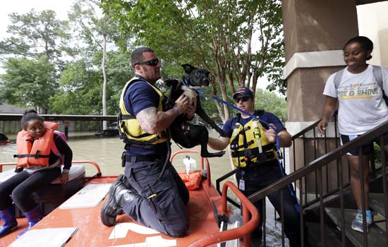 <div class='meta'><div class='origin-logo' data-origin='AP'></div><span class='caption-text' data-credit='AP Photo/David J. Phillip'>Firefighter Matt Hughes helps rescue Meagen McDonald's dog</span></div>