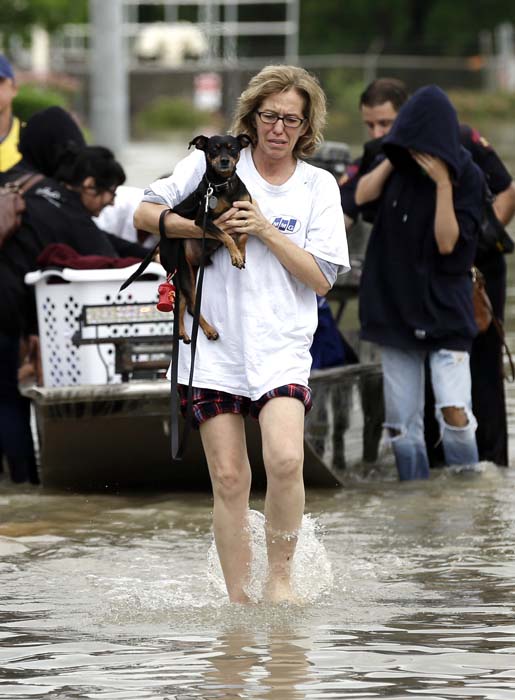 <div class='meta'><div class='origin-logo' data-origin='AP'></div><span class='caption-text' data-credit='AP Photo/David J. Phillip'>A woman carries a dog after being rescued from her flooded apartment complex</span></div>