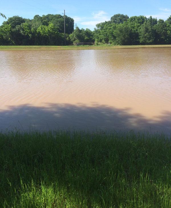 <div class='meta'><div class='origin-logo' data-origin='KTRK'></div><span class='caption-text' data-credit=''></span></div>