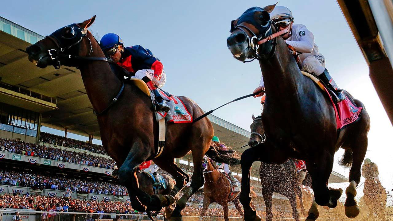 Western Montana Fair Horse Racing Professional Horse Racing