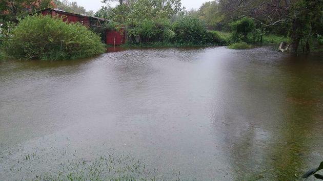 (KTRK Photo/ABC-13 viewer-submitted photo) <span class=meta></span>