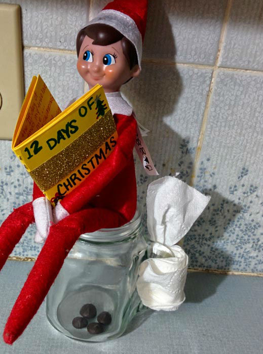 Elf on the Shelf viewer photos