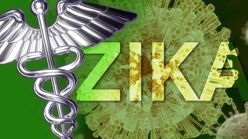 Zika generic