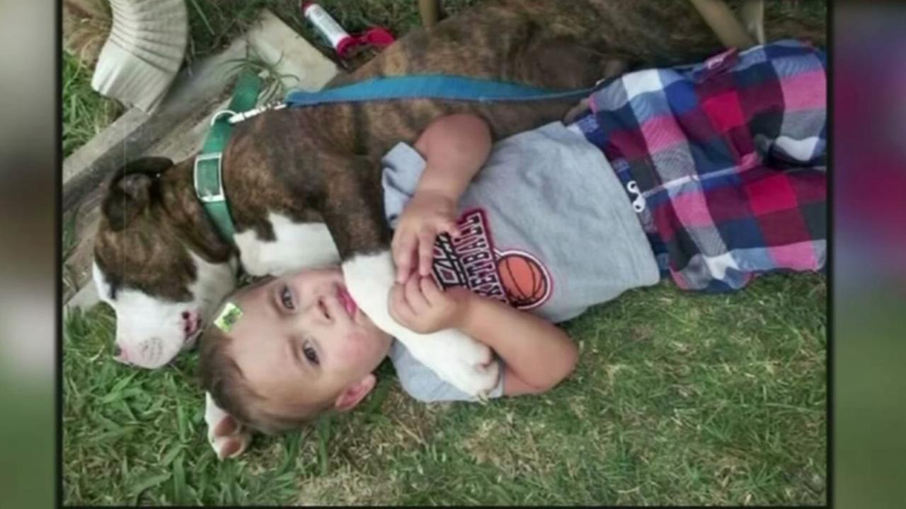 Police kill family dog at child's birthday party - KTRK-TV