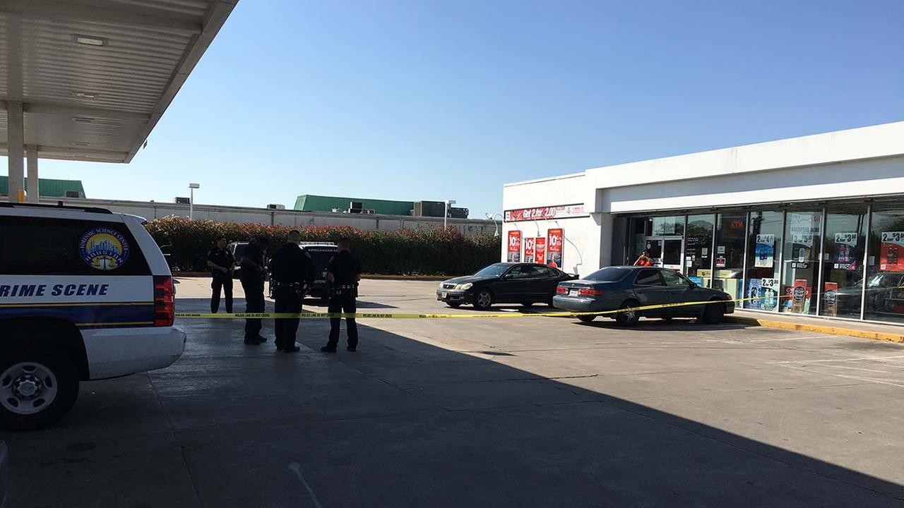 Take a tour inside the world's largest backyard pool