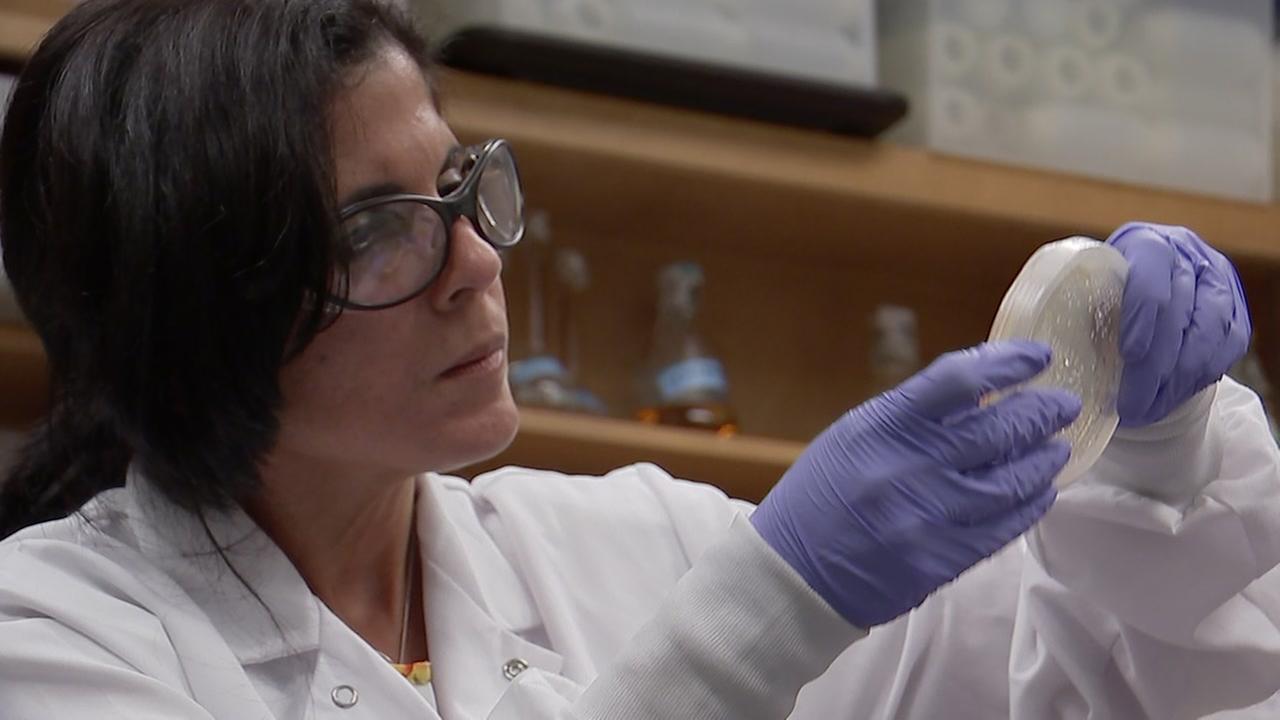 Meet female scientists thriving in male-dominated field
