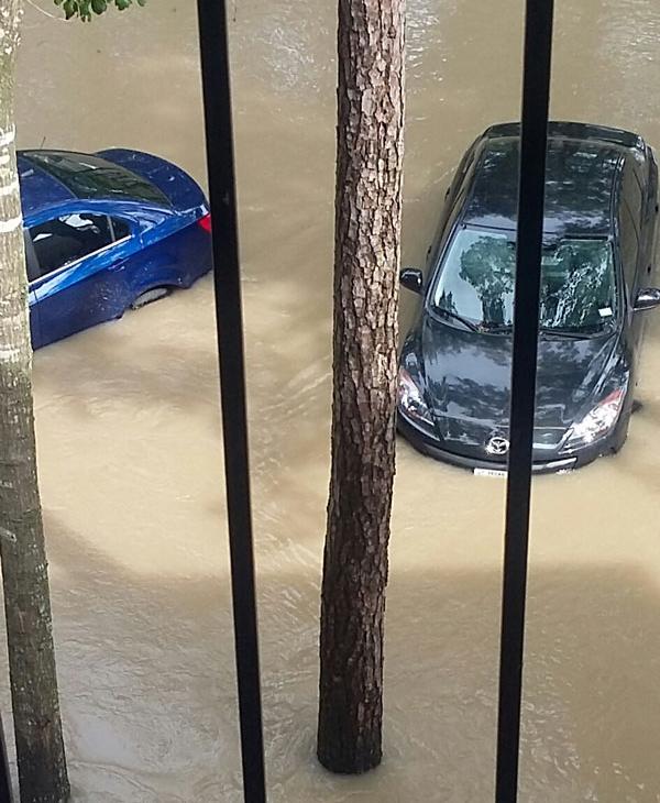 <div class='meta'><div class='origin-logo' data-origin='none'></div><span class='caption-text' data-credit=''></span></div>