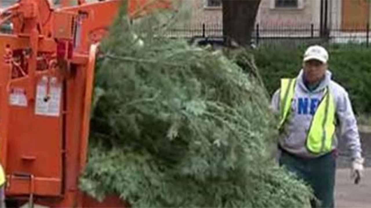 city of houston begins new year going green with christmas city of houston begins new year going green with christmas