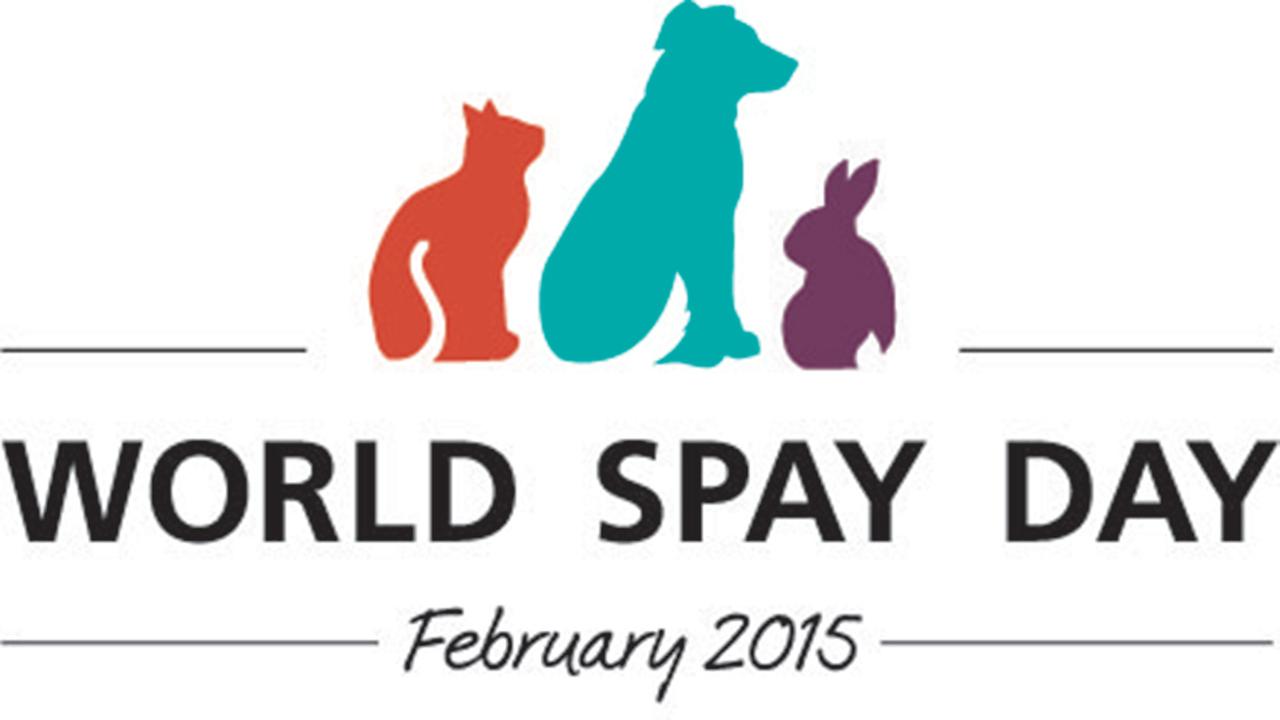 World Spay Day