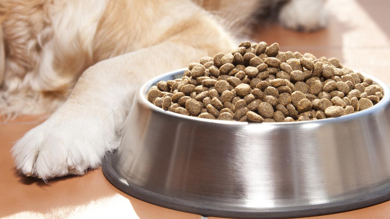 Complaints about Purina's Beneful dry "kibble" lead to ...
