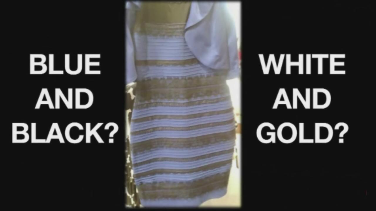 Image result for blue or gold dress