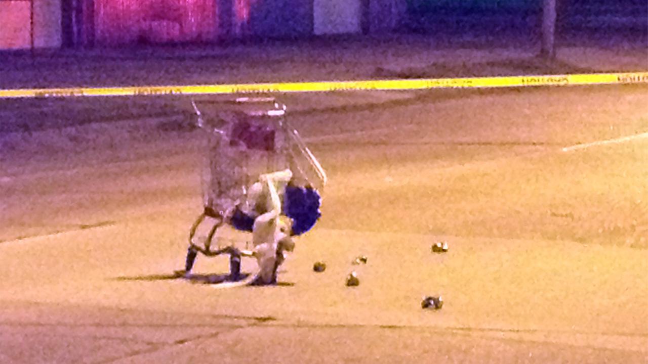 Woman pushing shopping cart in north Houston killed in hitandrun accident