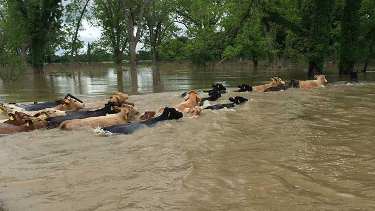 PHOTOS: Severe weather across southeast Texas