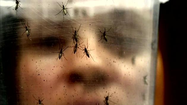 Medical expert explains Zika virus