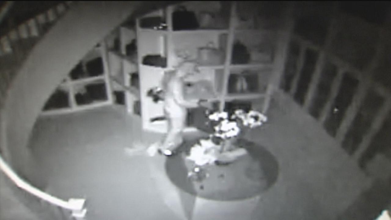 Closet Heist Update Gdvyc Dpwhh Airbnb Host Robbed Of 40k Worth Jewelry Purses And S