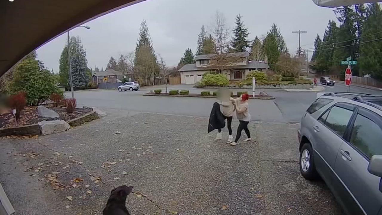 Surveillance video shows nanny tackle porch pirate