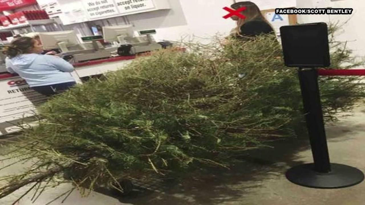 man irate after costco lets woman return dead christmas man irate after costco lets woman return dead christmas