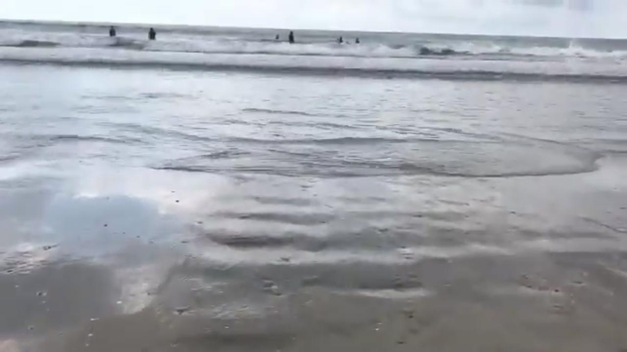 SAY WHAT! Clear water spotted on Galveston beach this Memorial Day