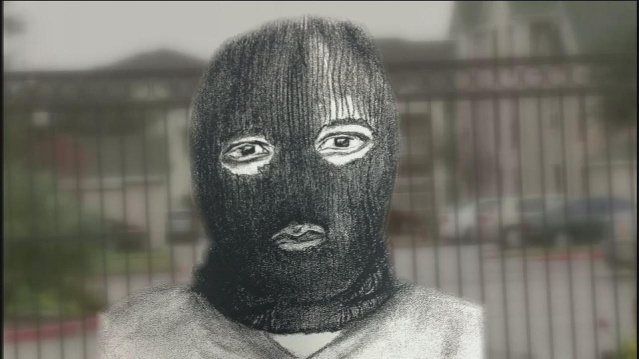 Rosenberg police release somewhat cryptic sketch of suspect - KTRK-TV